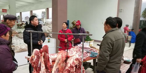 守護年關食品安全——石門市監(jiān)在行動，聚焦食用農(nóng)產(chǎn)品批發(fā)