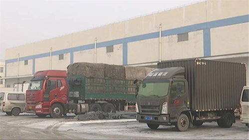 春節(jié)期間市場供應保障 食用農(nóng)產(chǎn)品批發(fā)平穩(wěn)運行